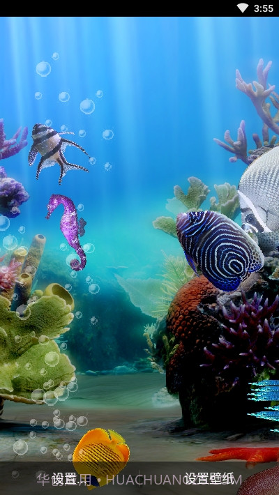 真正的水族馆Therealaquarium动态壁纸截图4