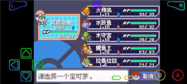 口袋妖怪绿宝石小智版截图2