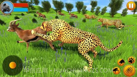 猎豹家庭模拟器截图2