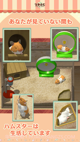 云仓鼠截图2 云仓鼠截图2