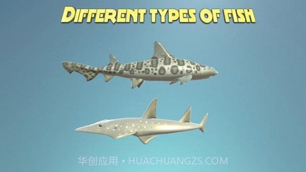 真正的鲨鱼模拟器截图1 真正的鲨鱼模拟器截图1