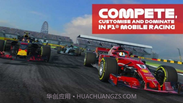 F1模拟器截图3