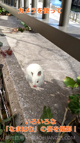 云仓鼠截图4 云仓鼠截图4