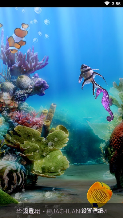 真正的水族馆Therealaquarium动态壁纸截图3