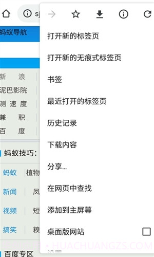 Chrome蚂蚁截图5
