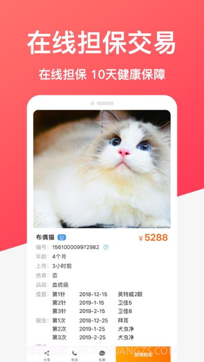 共宠(共享宠物)截图3