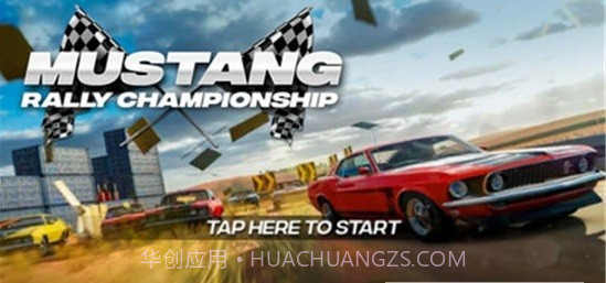 赛车拉力锦标赛截图4