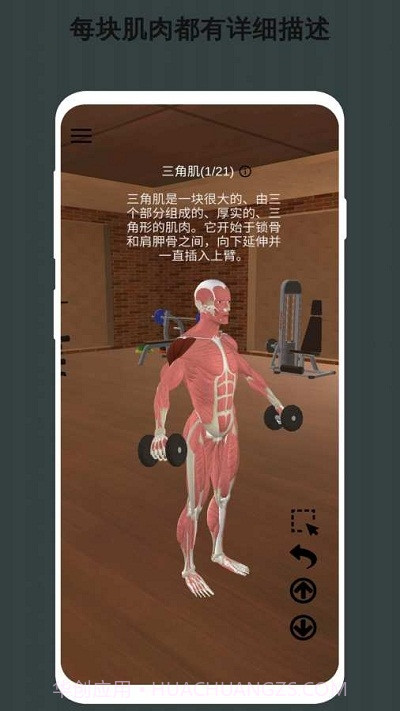 3D健身动画教程截图3