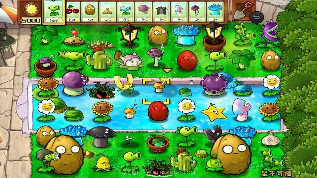 植物大战僵尸1随机模仿者截图2 植物大战僵尸1随机模仿者截图2