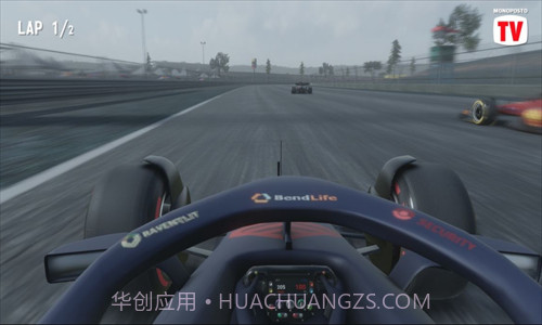 F1方程式赛车截图2