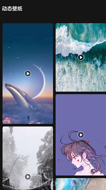 lr壁纸大全截图2