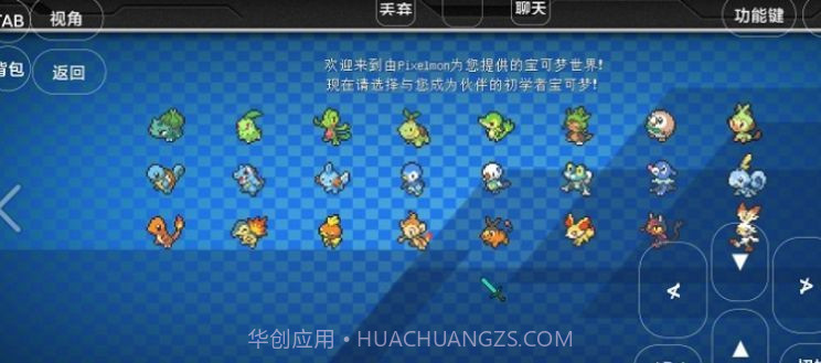 宝可梦世界王国澪截图1