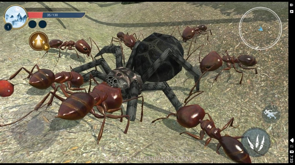 蚂蚁生存日记截图4