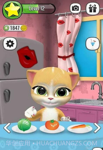会说话的艾玛猫1截图3