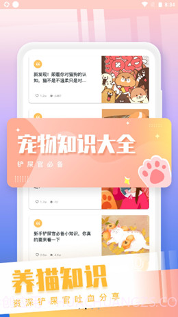 和猫对话截图3