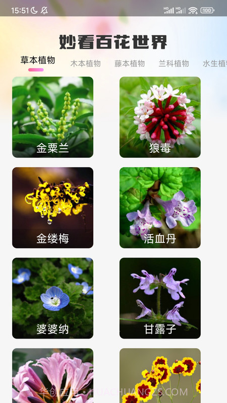 妙看百花截图3
