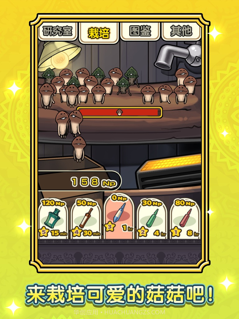 蘑菇花园最新版截图2 蘑菇花园最新版截图2
