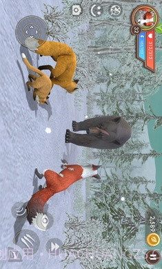 3D动物模拟器截图3 3D动物模拟器截图3