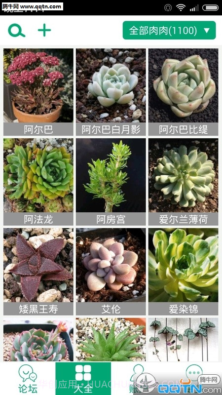 多肉植物app截图3