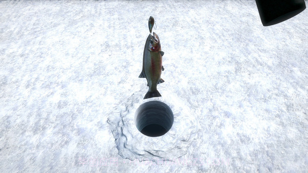 终极钓鱼模拟2截图5