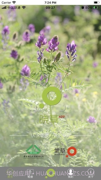 晓草草原植物识别截图4