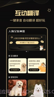 人狗交流神器截图1