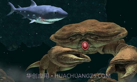 嗜血狂鲨2截图2