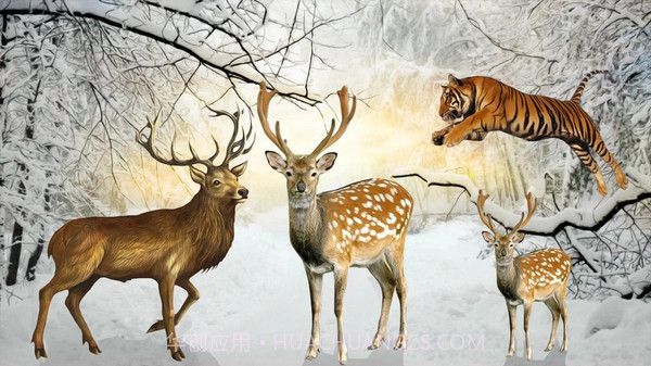 非常野生猎鹿模拟器截图3