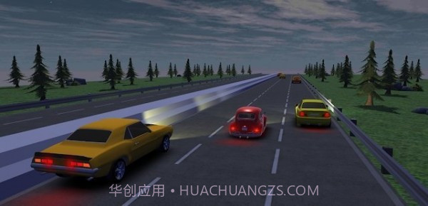 疯狂的赛车司机截图1