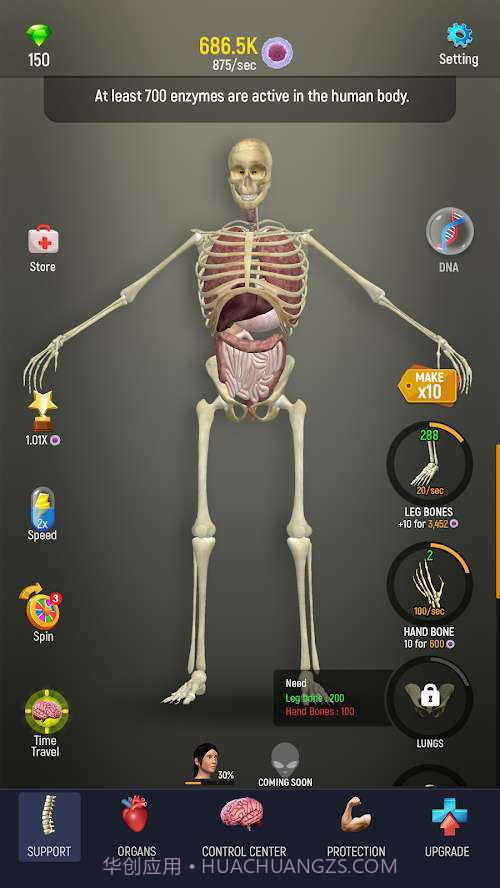 人体模型模拟器截图1 人体模型模拟器截图1