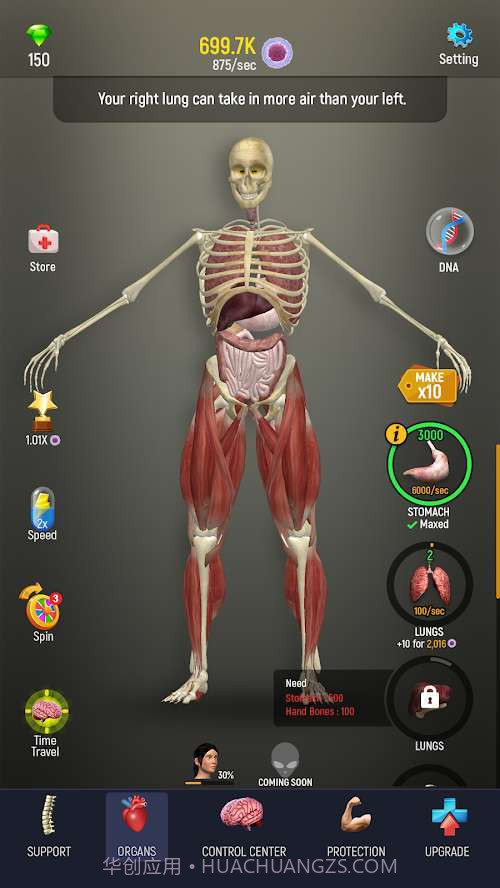 人体模型模拟器截图2 人体模型模拟器截图2