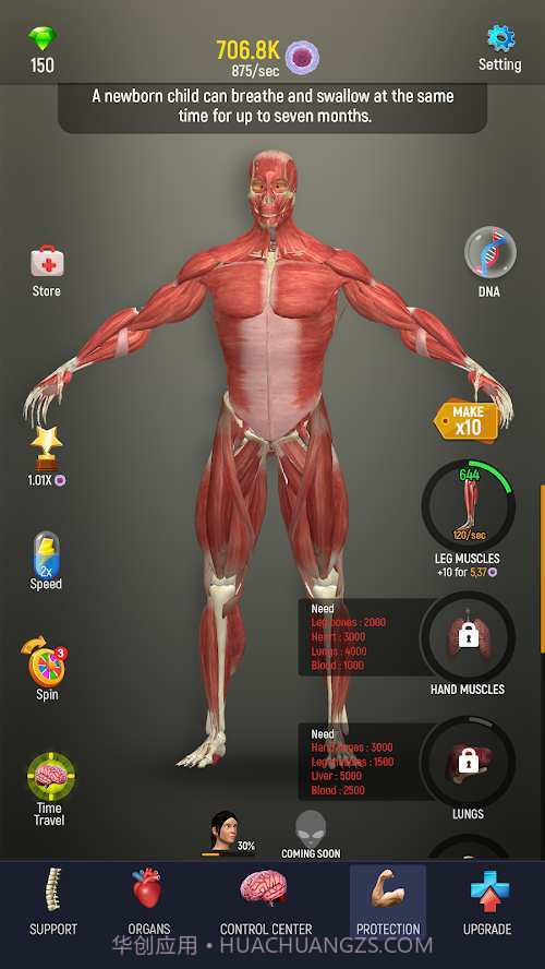 人体模型模拟器截图3 人体模型模拟器截图3