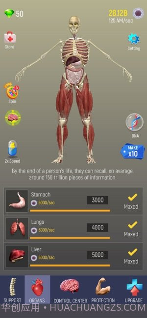 放置人类截图1 放置人类截图1