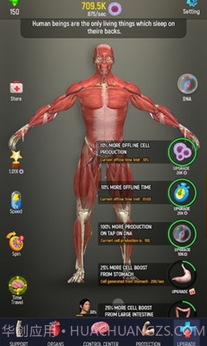 放置人类2截图2 放置人类2截图2