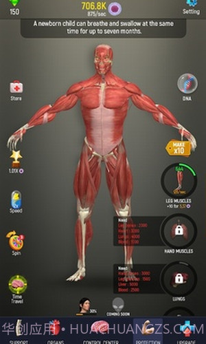 放置人类2截图3 放置人类2截图3