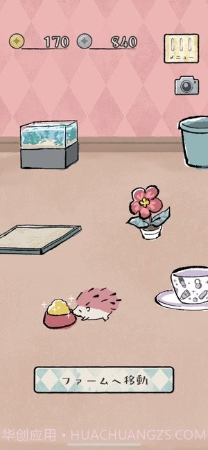 刺猬养成app截图2