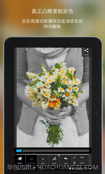 PixlrExpress最新版截图2