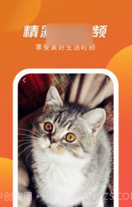 优赏短视频赚钱版截图3