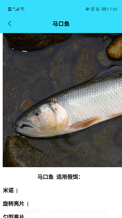 我爱养鱼截图2 我爱养鱼截图2