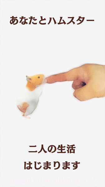 云仓鼠免费版截图1