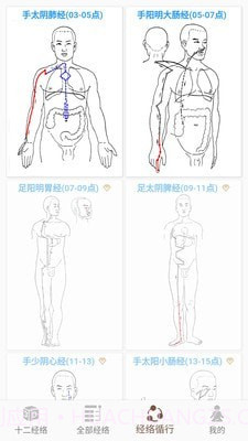 3D BODY(经络穴位3D)截图5 3D BODY(经络穴位3D)截图5
