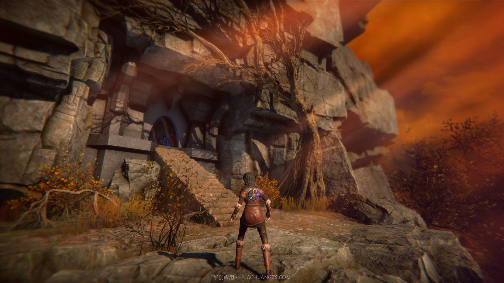 生命之种SeedofLife截图3