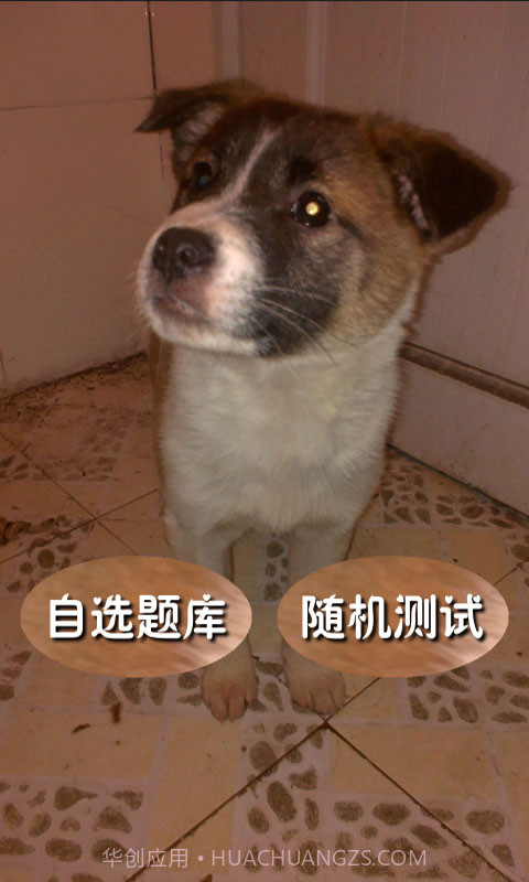 奥数题及答案截图1