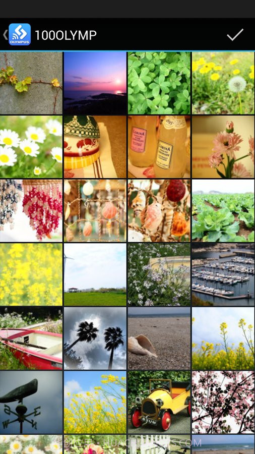 奥林巴斯相机截图2