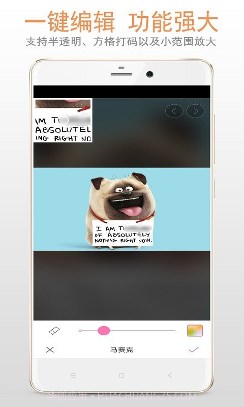 马赛克打码专家截图1 马赛克打码专家截图1