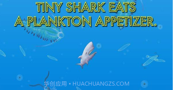 美味海洋2截图2 美味海洋2截图2