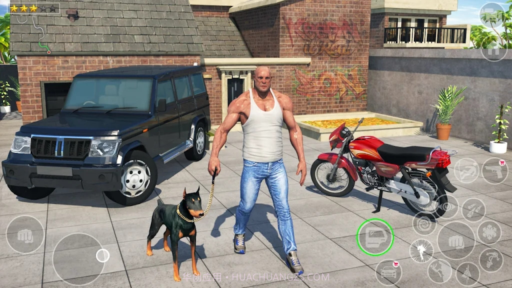 印度街头汽车截图2