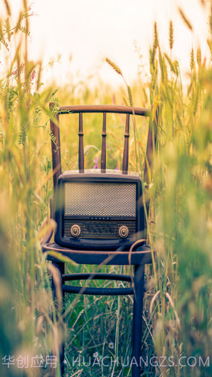 Ideal Music截图1 Ideal Music截图1