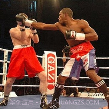 拳击WWE游戏截图4