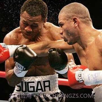 拳击WWE游戏截图3